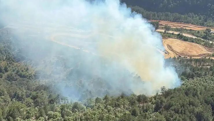 Balıkesir’de orman yangını: Havadan ve karadan müdahale ediliyor