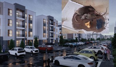 Oğlaklı 4. Etap’ta Fare ve Haşereler Cirit Atıyor