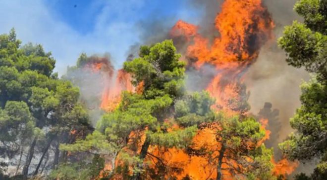 Tarım ve Orman Bakanlığı’ndan 9 ildeki vatandaşlara yangın uyarısı