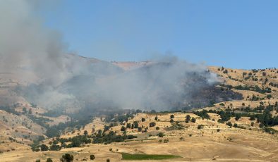 Muğla ve Diyarbakır’da orman yangınları: Ekiplerin müdahalesi sürüyor