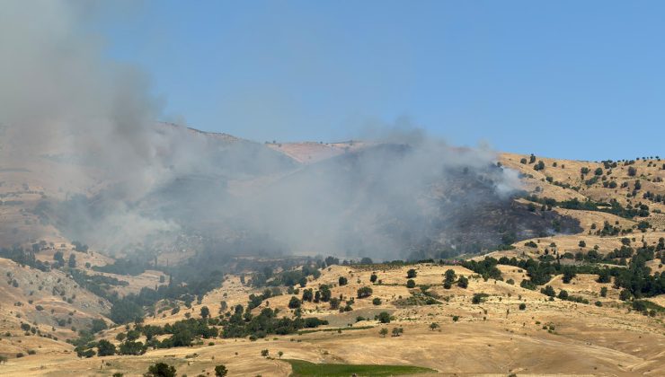 Muğla ve Diyarbakır’da orman yangınları: Ekiplerin müdahalesi sürüyor