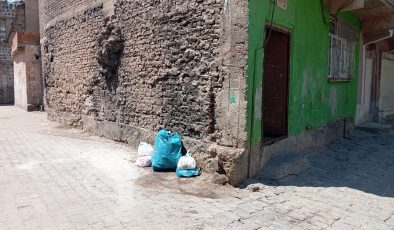 Sur’da mahalle sakinlerinden çöp konteyneri talebi: Koku ve sinek sorunu artıyor