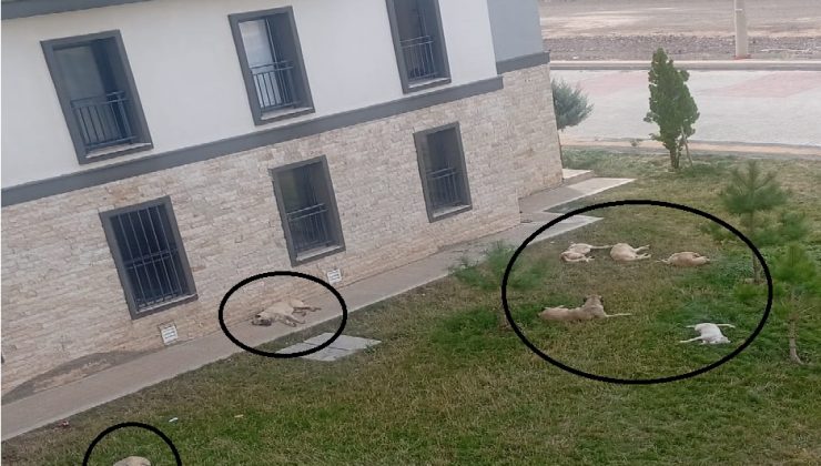 Kayapınar’da TOKİ sakinleri tedirgin: Çocuklar parka indirilemiyor
