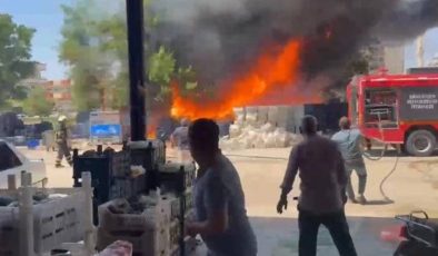 Şanlıurfa’da hal pazarında yangın