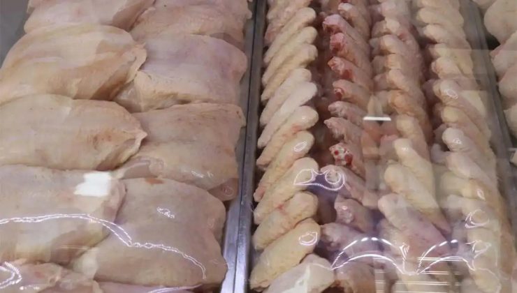 Tavuk eti üretimi haziranda 232 bin 238 tona yükseldi