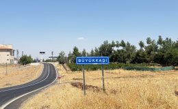 Diyarbakır Valiliğinden Kuduz Açıklaması