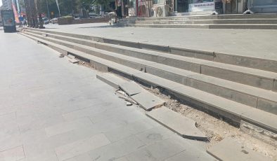 Diyarbakır’ın merkezinde bakımsızlık diz boyu