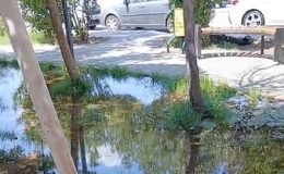 Gazi Yaşargil Hastanesi’nin bahçesi gölete döndü