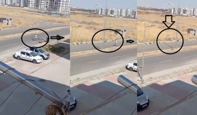 Oğlaklı’da skandal görüntü! Çöp konteynerinden çıkardı, araziye attı