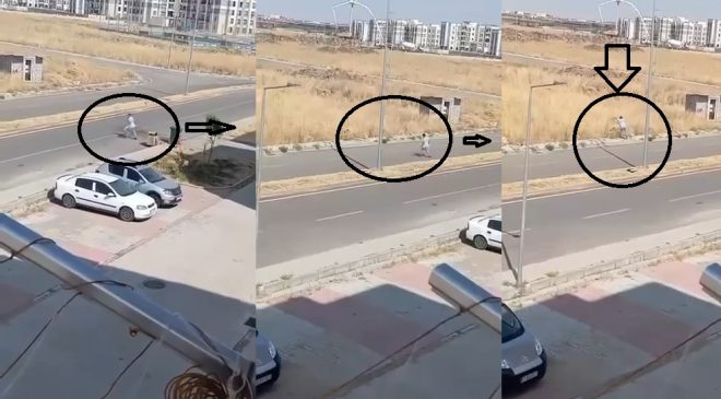 Oğlaklı’da skandal görüntü! Çöp konteynerinden çıkardı, araziye attı