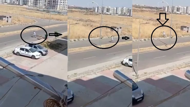Oğlaklı’da skandal görüntü! Çöp konteynerinden çıkardı, araziye attı