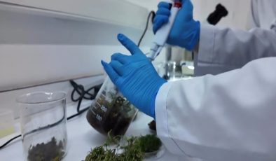 Gıda aromalarında yeni düzenleme 