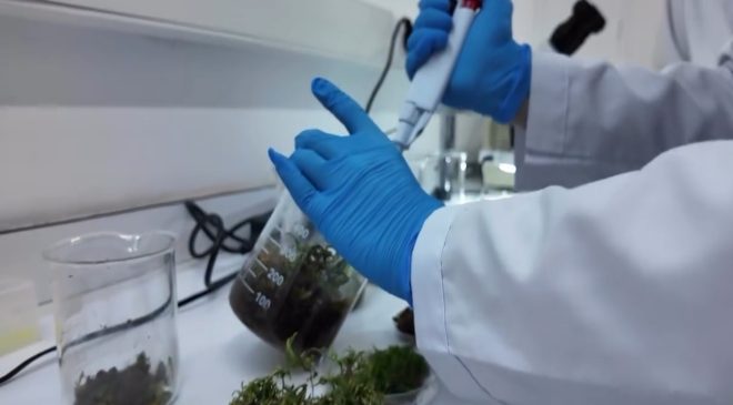Gıda aromalarında yeni düzenleme 