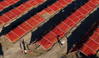 Gaziantep’te 57,6 milyon adet kurutmalık ürün borsada işlem gördü