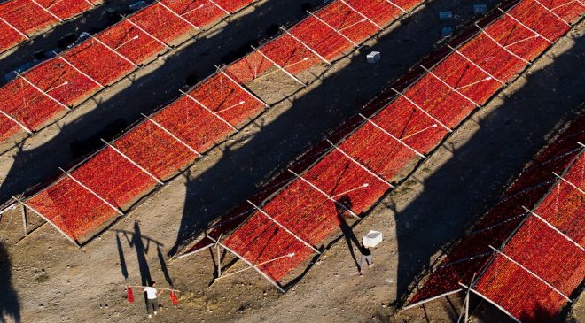 Gaziantep’te 57,6 milyon adet kurutmalık ürün borsada işlem gördü