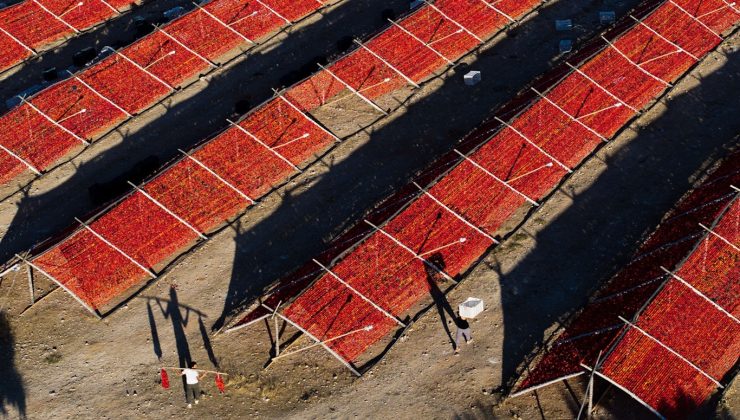Gaziantep’te 57,6 milyon adet kurutmalık ürün borsada işlem gördü