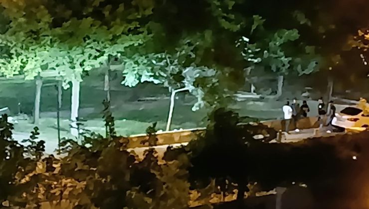 Güvenlik kamerası olmayan parkta her gece kavga bu kez kan aktı