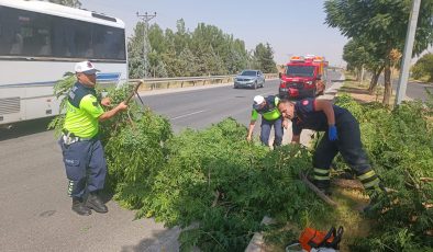 Batman-Silvan yolunda fırtına nedeniyle ağaçlar devrildi