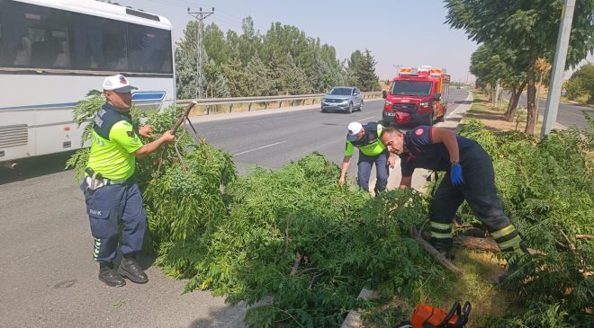 Batman-Silvan yolunda fırtına nedeniyle ağaçlar devrildi