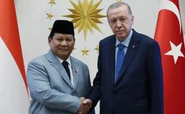 Cumhurbaşkanı Erdoğan, Endonezyalı mevkidaşı Subianto ile görüştü