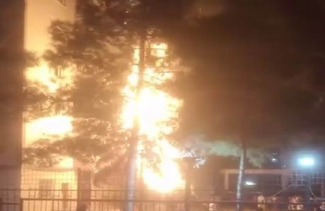 Kayapınar’da havai fişek paniği: Site içindeki ağaç alev aldı