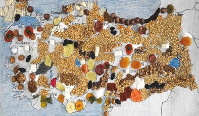 Türkiye’de tarım ve gıda sektöründe son durum ne