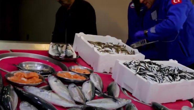 Su ürünleri denetimlerinde 128,8 milyon TL ceza uygulandı