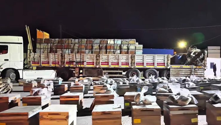 Arı kovanlarının arasına gizlenmiş 91,1 kilo uyuşturucu ele geçirildi
