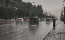 Bitlis’te sağanak yağış etkili oldu