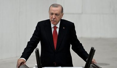 Cumhurbaşkanı Erdoğan: Kimsenin hakkını kimseye yedirmeden, bu meseleyi süratle çözüyoruz