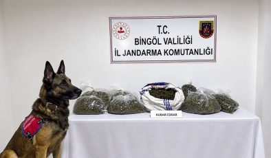 Bingöl’de asayiş, narkotik ve kaçakçılık operasyonları: 31 şüpheli hakkında işlem yapıldı