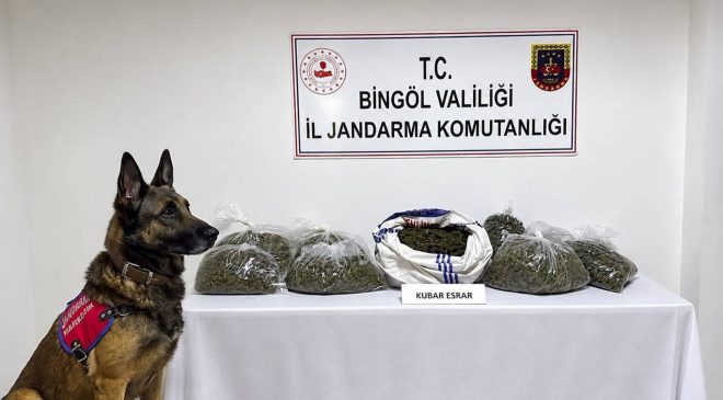 Bingöl’de asayiş, narkotik ve kaçakçılık operasyonları: 31 şüpheli hakkında işlem yapıldı