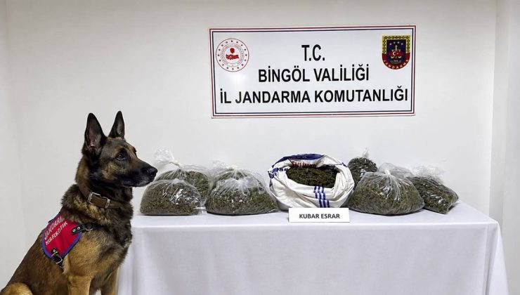 Bingöl’de asayiş, narkotik ve kaçakçılık operasyonları: 31 şüpheli hakkında işlem yapıldı