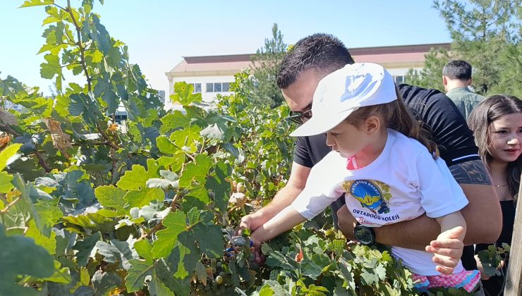 Diyarbakır’da minik eller bağlarda buluşacak